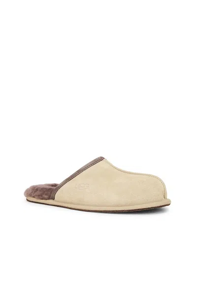 Ugg Scuff Slipper In Brown