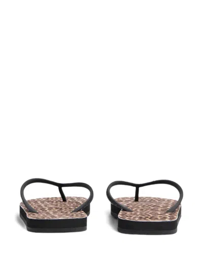 Dsquared2 Wild2 Flip Flops Black In Brown