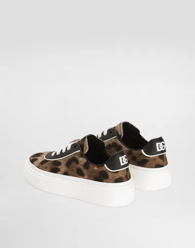 Dolce & Gabbana Leopard-print Logo Sneakers In Animal Print