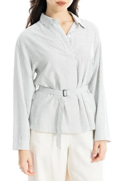 Max Studio Stripe Belted Button-up Shirt In Multi