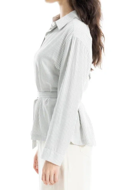 Max Studio Stripe Belted Button-up Shirt In Multi
