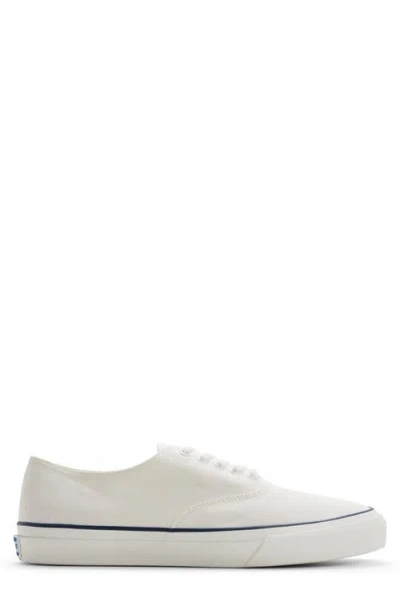 Sperry Classic Cvo Canvas Sneaker In White