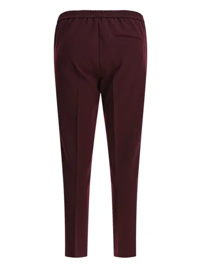 Semper Pants With Elasticized Waist In Red