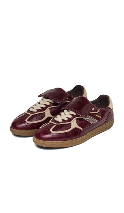 Alohas Tb.490 Club Patent Deep Burgundy Leather Sneakers In Brown