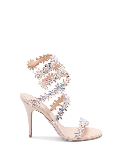 René Caovilla Flat Sandal Rene Caovilla Woman Color Pink In Multi