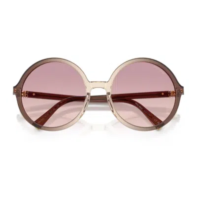 Miu Miu 0mu B02s Miu Regard Oversized Round Gradient Brown Acetate Sunglasses In Blue