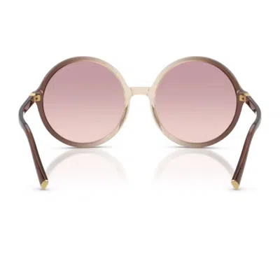 Miu Miu 0mu B02s Miu Regard Oversized Round Gradient Brown Acetate Sunglasses In Blue