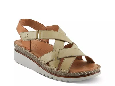 Spring Step Migula Slingback Wedge Sandal In Green