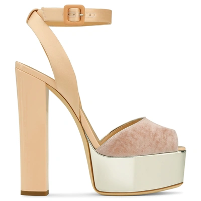 Giuseppe Zanotti Amelia In Pink