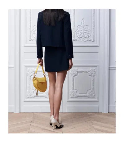 Dior Flared Miniskirt In Blue