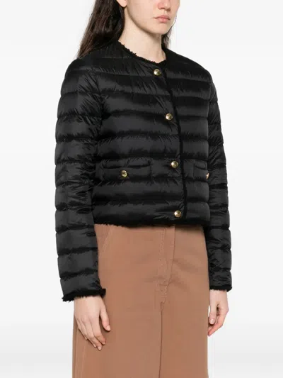 Moncler Fleurs Button Quilted Jacket In Black