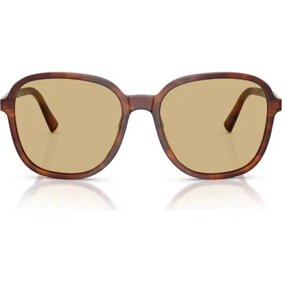 Miu Miu Womens Brown Mu B01s Square-frame Acetate Sunglasses In Brown
