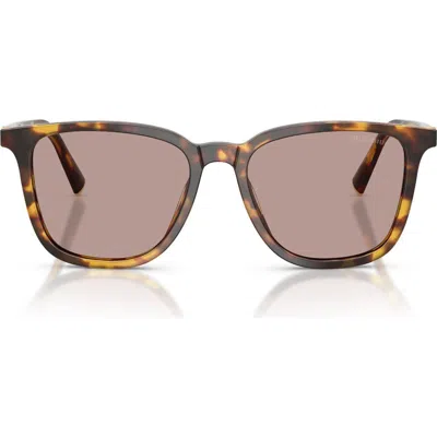 Miu Miu 0mu B03s Classic Tortoiseshell Square Sunglasses In Gray
