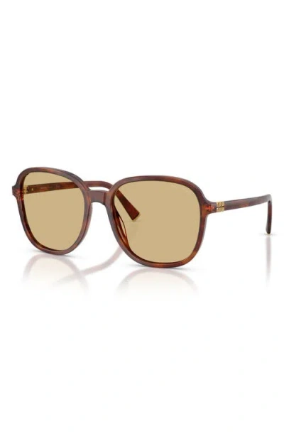 Miu Miu Womens Brown Mu B01s Square-frame Acetate Sunglasses In Brown