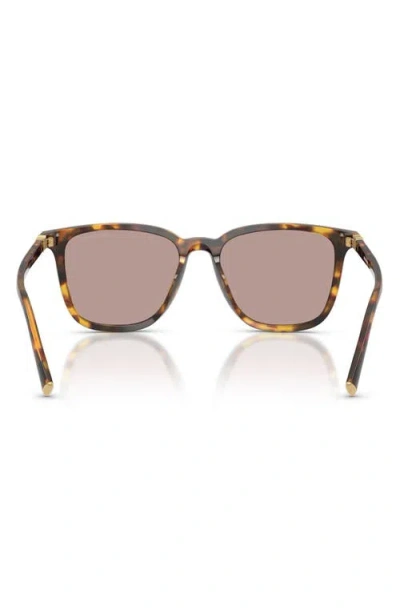 Miu Miu 0mu B03s Classic Tortoiseshell Square Sunglasses In Gray
