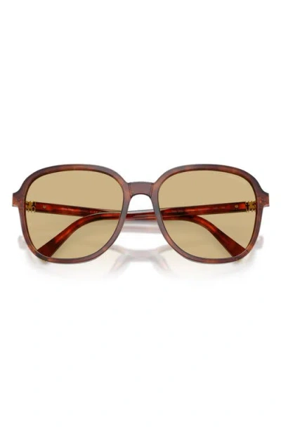 Miu Miu Womens Brown Mu B01s Square-frame Acetate Sunglasses In Brown