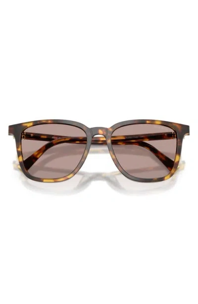 Miu Miu 0mu B03s Classic Tortoiseshell Square Sunglasses In Gray