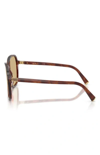 Miu Miu Womens Brown Mu B01s Square-frame Acetate Sunglasses In Brown