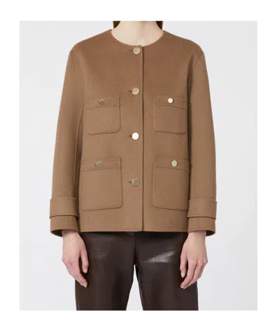 Max Mara Cropped Wool Broadcloth Jacket In Brown