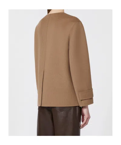 Max Mara Cropped Wool Broadcloth Jacket In Brown