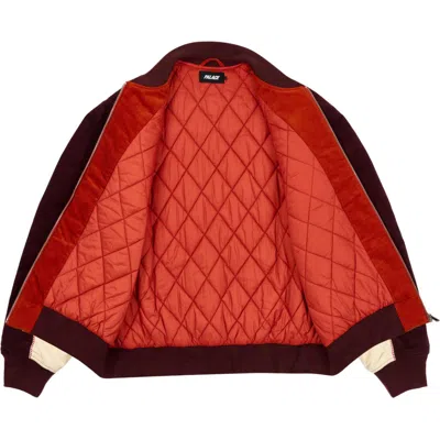 Palace Cat Eye Bomber Jacket 'rust' In Multi