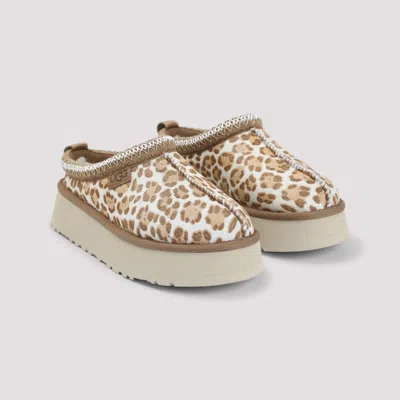 Ugg Tazz Leopard-pattern Slippers In Multi