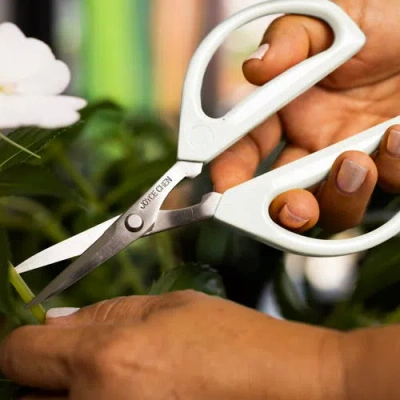 Joyce Chen Original Unlimited Kitchen Scissors 2-pack In White