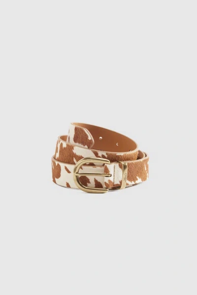 Levi's Phoebe Belt In Brown