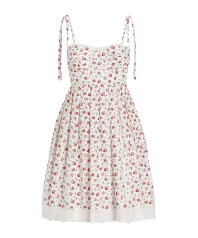 Dolce & Gabbana Lace-trimmed Floral-print Cotton-blend Poplin Bustier Mini Dress In Multi