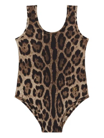 Dolce & Gabbana Leopard-pattern Swimsuit In Brown
