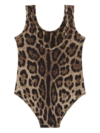 Dolce & Gabbana Leopard-pattern Swimsuit In Brown