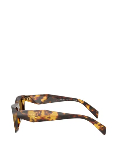Prada D-frame Lens Sunglasses In Brown