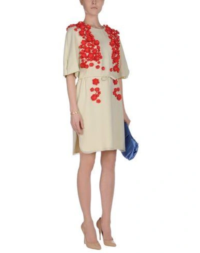 Shop Giambattista Valli Short Dresses In Ivory