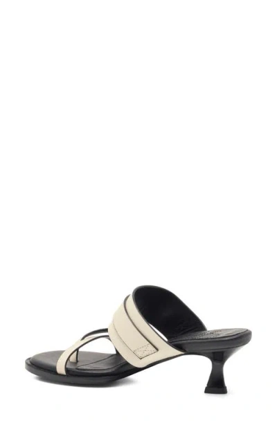 Free People Belted Toe Loop Sandal In Multi