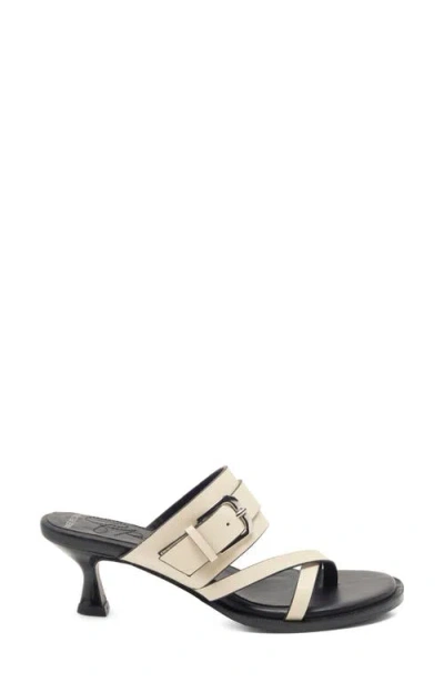 Free People Belted Toe Loop Sandal In Multi