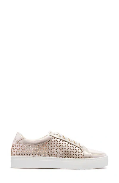 Frankie4 Mim V Sneaker In Multi