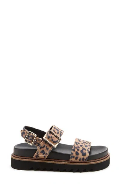 Kelsi Dagger Brooklyn Kel Leopard Double-strap Sandals In Animal Print