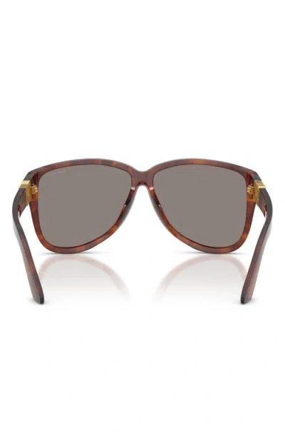 Miu Miu Tortoiseshell-pattern Sunglasses In Brown