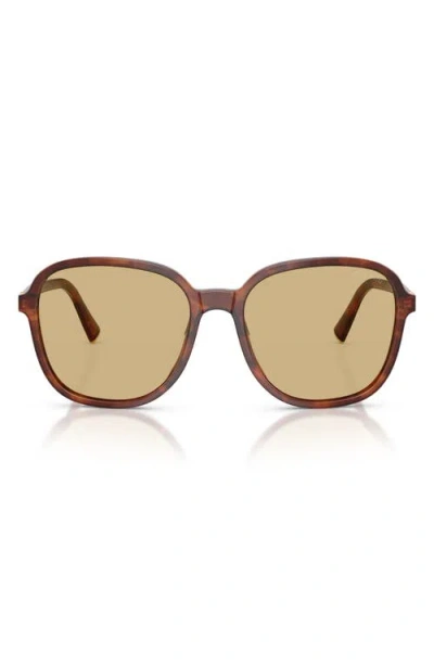 Miu Miu Womens Brown Mu B01s Square-frame Acetate Sunglasses In Brown