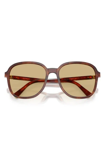 Miu Miu Womens Brown Mu B01s Square-frame Acetate Sunglasses In Brown