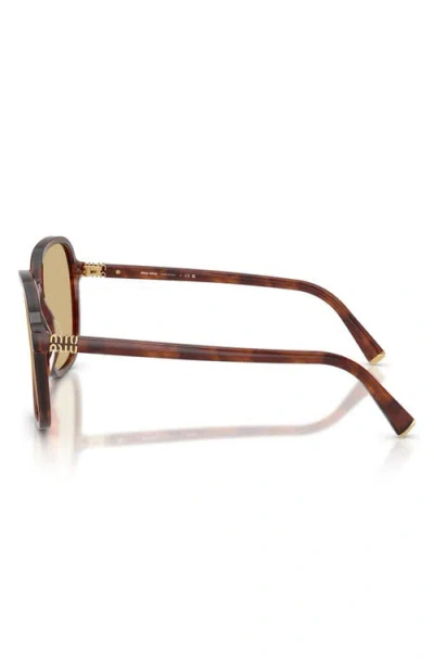Miu Miu Womens Brown Mu B01s Square-frame Acetate Sunglasses In Brown