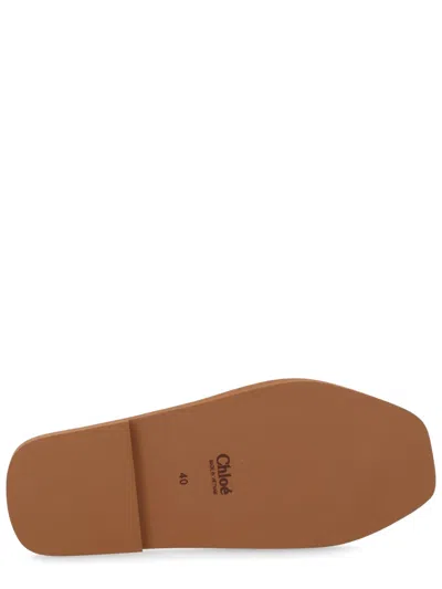 Chloé Woman Sandals Black Size 5 Polypropylene In Black