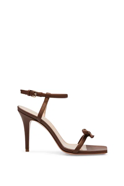 Scanlan Theodore Bow Sandal 9.5 In Brown