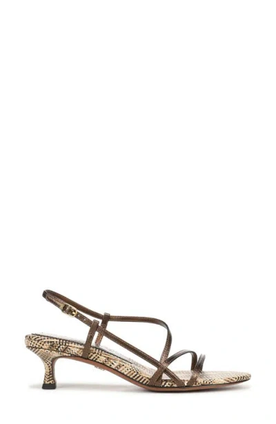 Sam Edelman Cora Slingback Kitten Heel Sandal In Multi