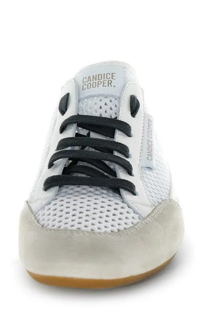 Candice Cooper Dafne 2 Sneaker In White