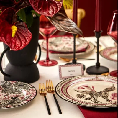 Marchesa Serengeti 4pc Dinner Plate Set In Pink