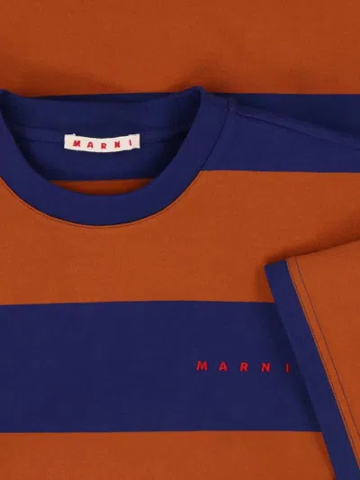 Marni Crew Neck Striped Short Sleeve T Shirt In Multi