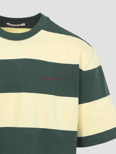 Marni Green And Yellow Maxi-stripe Cotton T-shirt In Green
