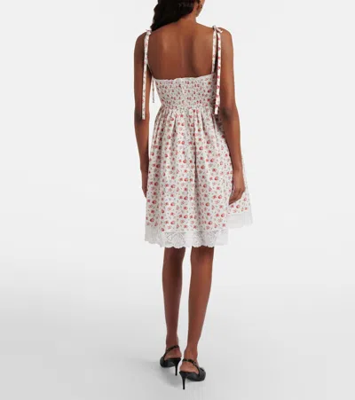 Dolce & Gabbana Lace-trimmed Floral-print Cotton-blend Poplin Bustier Mini Dress In Multi