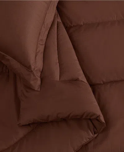 Brooklyn Loom Solid Cotton Percale 3-pc. Comforter Set, King In Brown